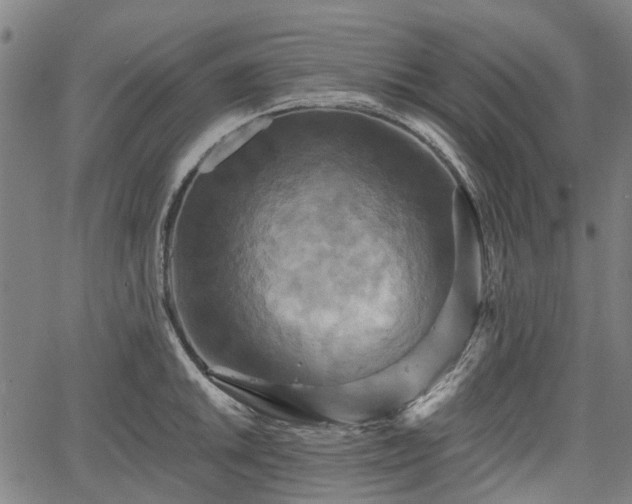 X0000067351046200604030929