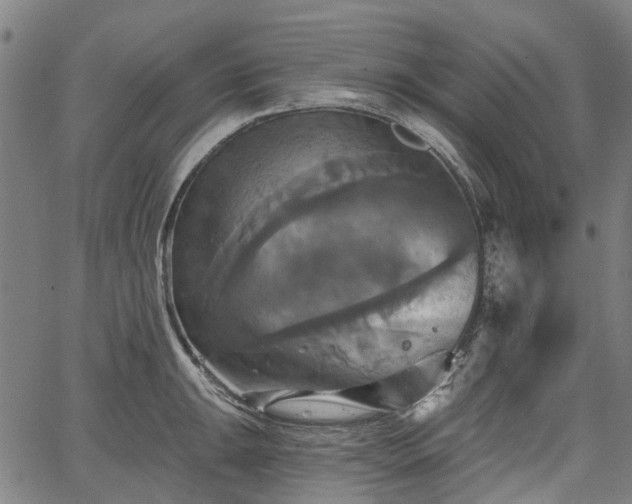 X0000067351047200604030929