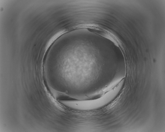 X0000067351050200604030929