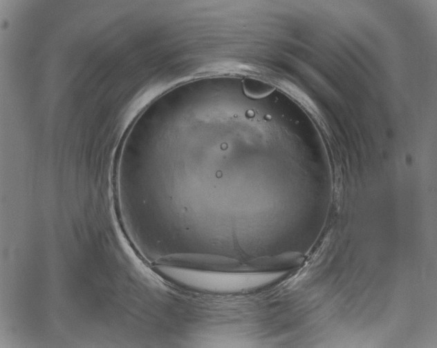 X0000067351055200604030929