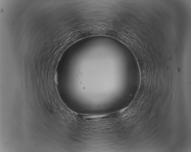 X0000067351057200604030928