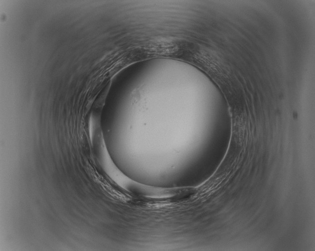 X0000067351058200604030928