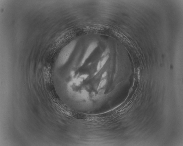 X0000067351059200604030928