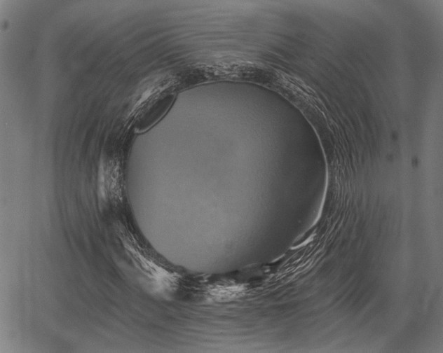 X0000067351060200604030928