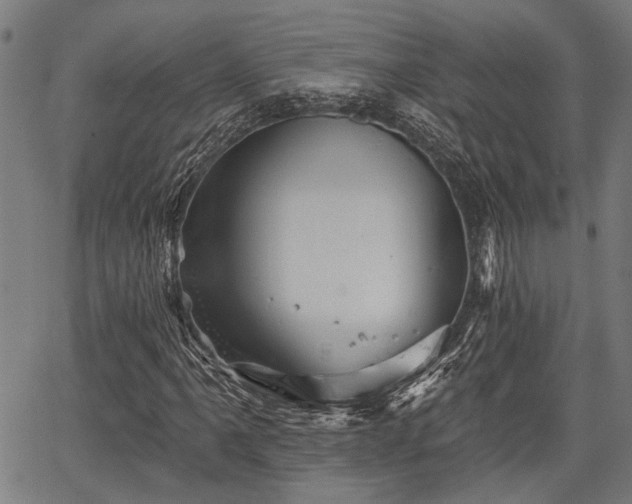 X0000067351061200604030928