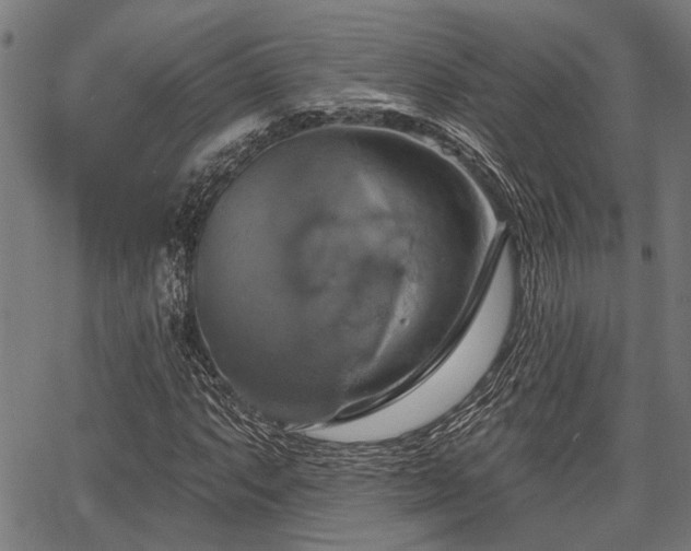 X0000067351063200604030928