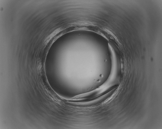 X0000067351065200604030928