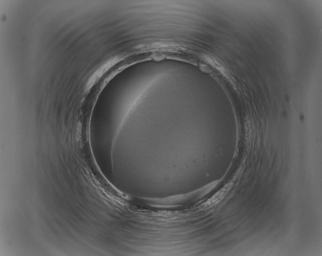 X0000067351066200604030928