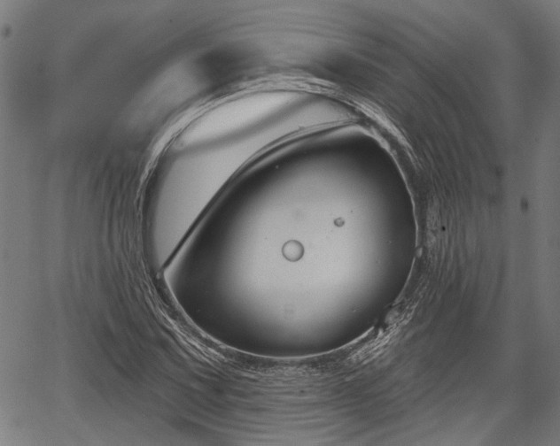 X0000067351067200604030928