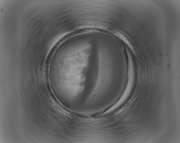 X0000067351068200604030928