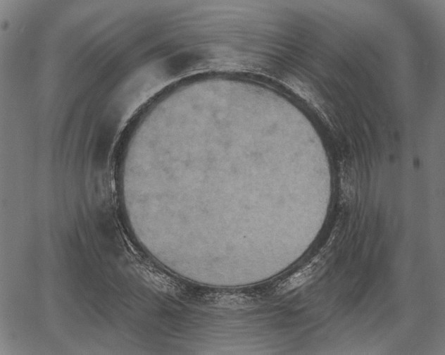 X0000067351070200604030928