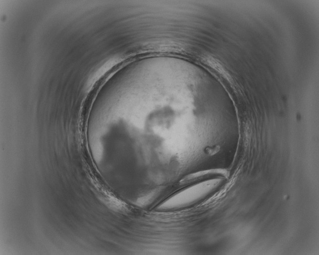 X0000067351071200604030928