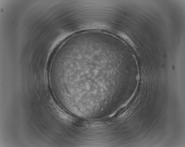 X0000067351072200604030928