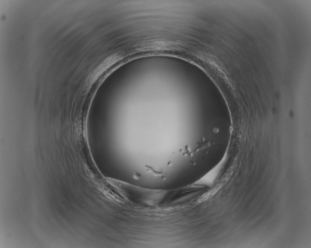 X0000067351073200604030928