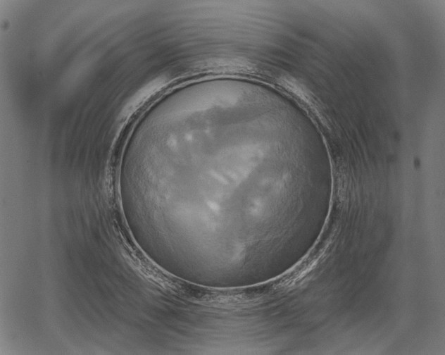 X0000067351074200604030928