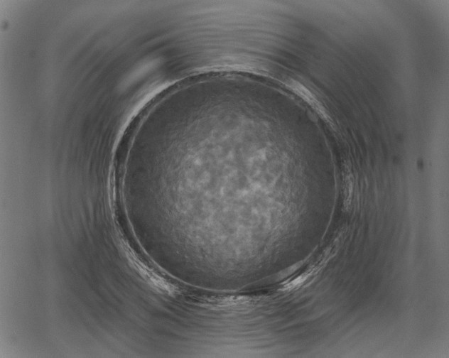 X0000067351076200604030928