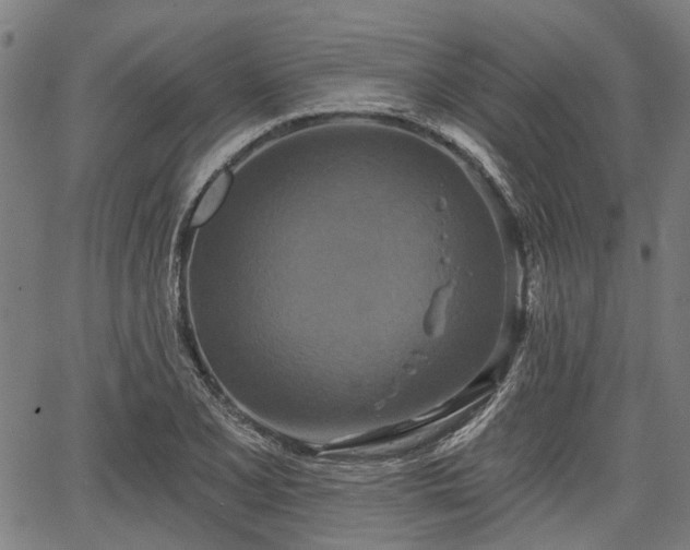 X0000067351077200604030928