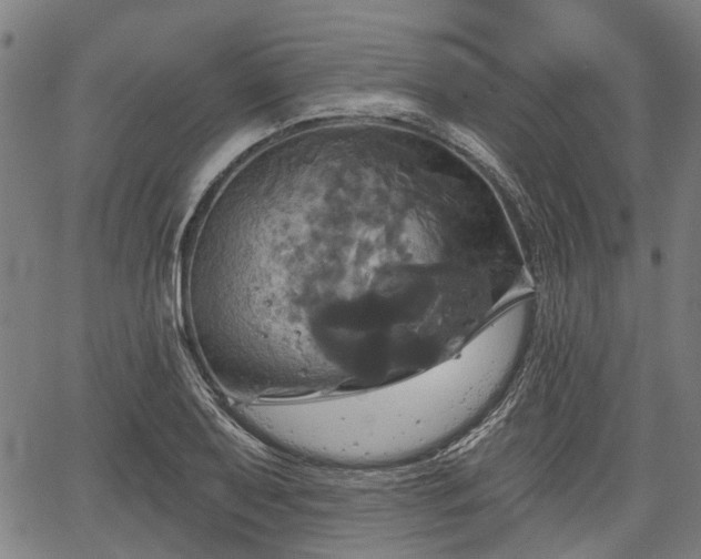 X0000067351079200604030928