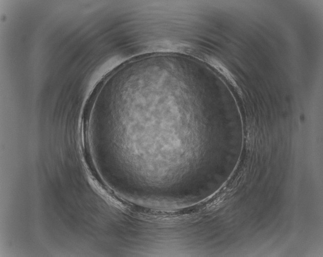 X0000067351080200604030928