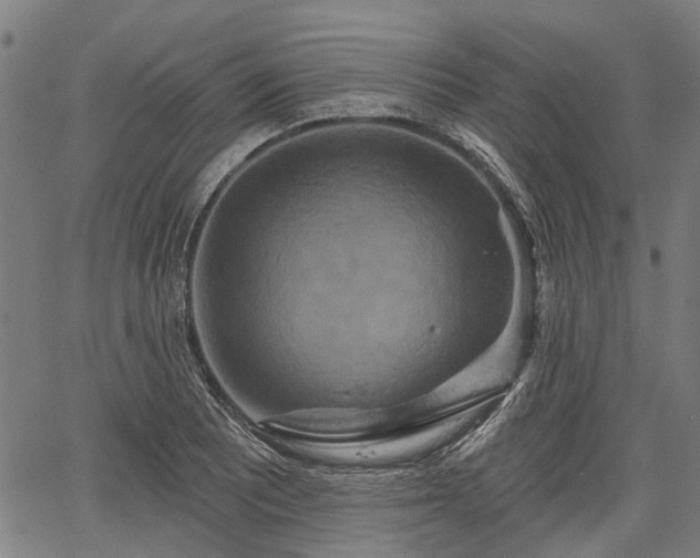 X0000067351081200604030928