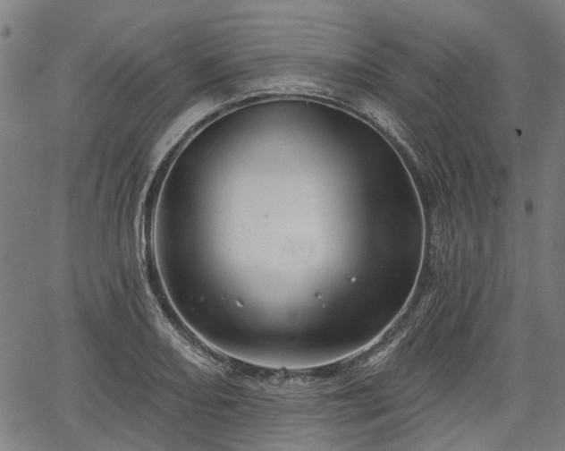 X0000067351082200604030928