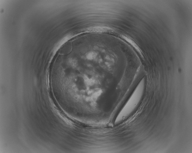 X0000067351083200604030928