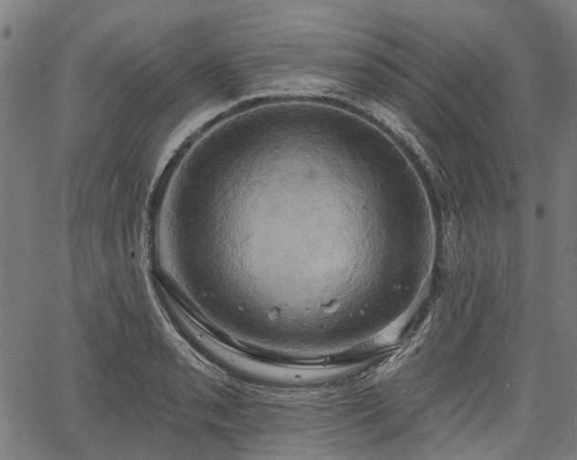 X0000067351085200604030928