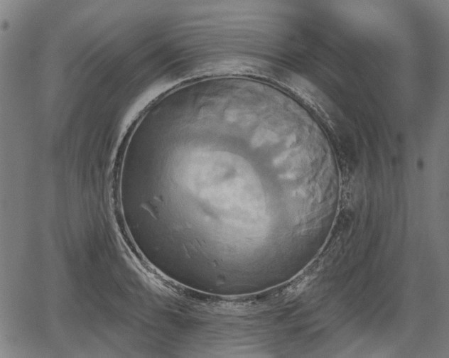 X0000067351086200604030928