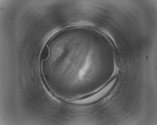 X0000067351087200604030928