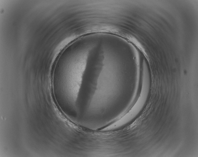 X0000067351088200604030928