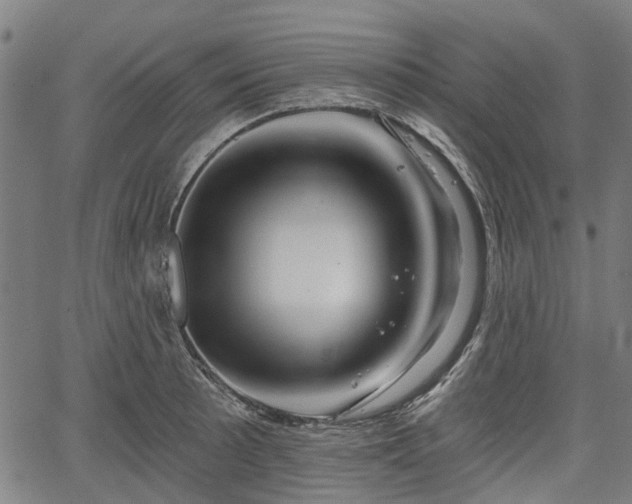 X0000067351089200604030928