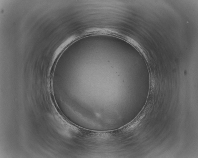 X0000067351090200604030928