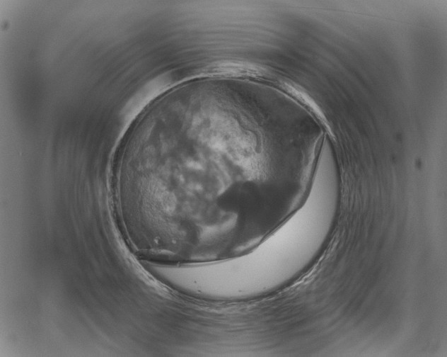 X0000067351091200604030928