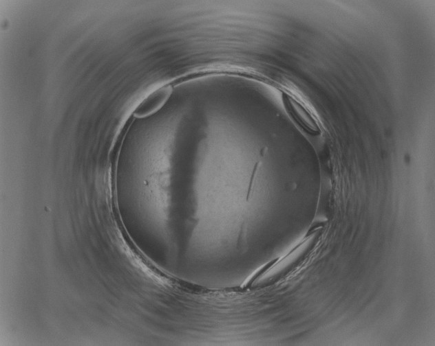 X0000067351092200604030928