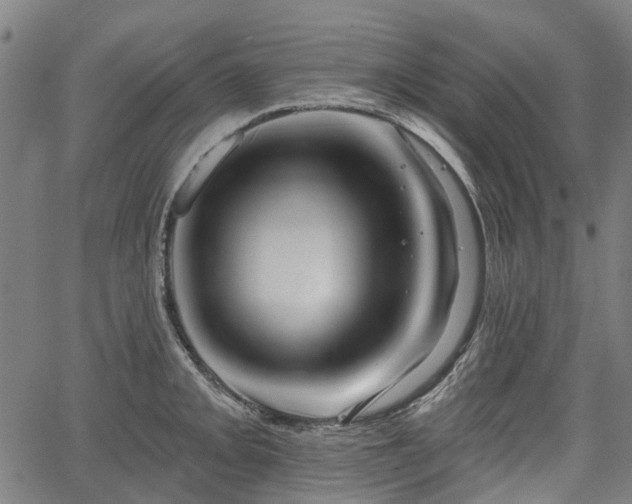 X0000067351093200604030928