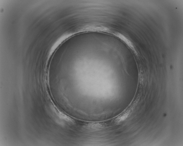 X0000067351094200604030928