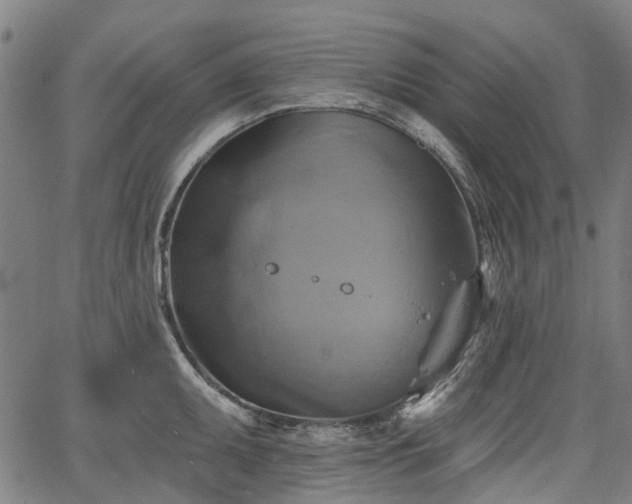 X0000067351095200604030928