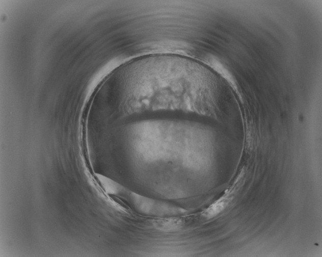 X0000067351096200604030928