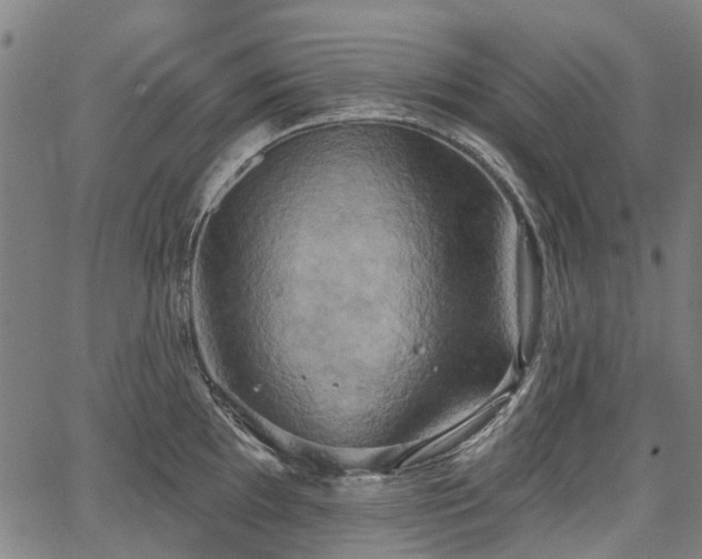 X0000067351097200604030928