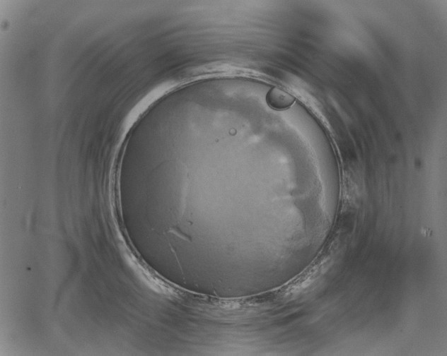 X0000067351098200604030928