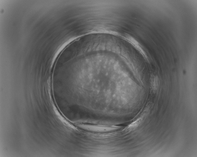 X0000067351100200604030928