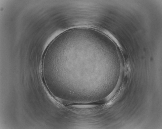 X0000067351101200604030928