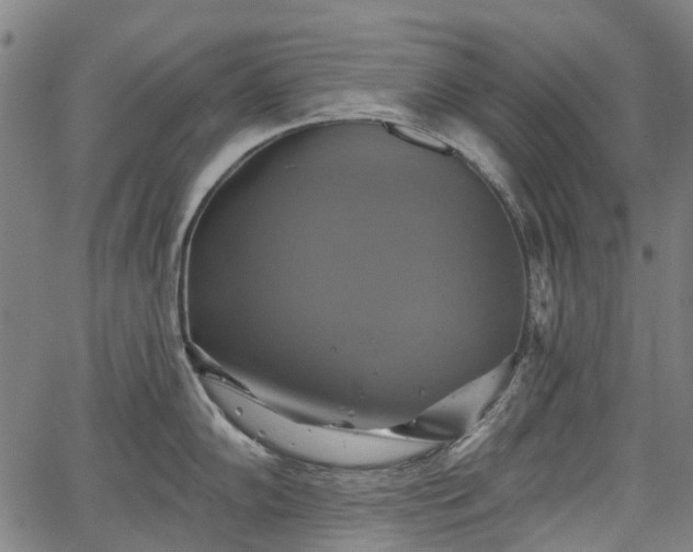 X0000067351102200604030928