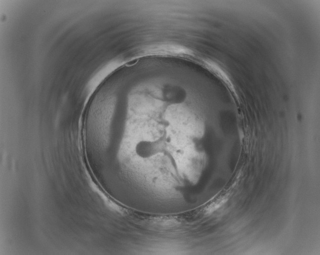 X0000067351103200604030928