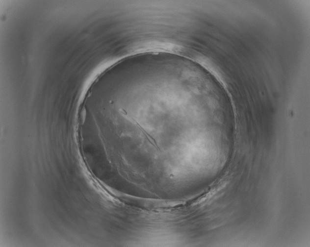 X0000067351104200604030928