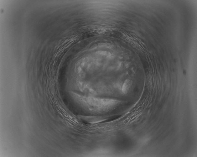 X0000067351105200604030927