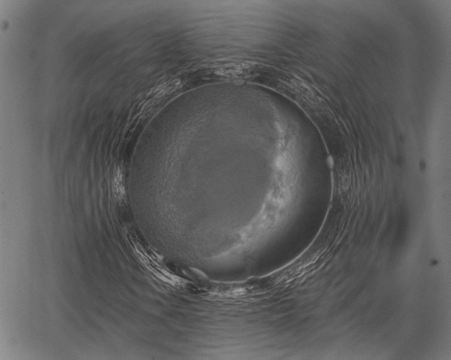 X0000067351106200604030927