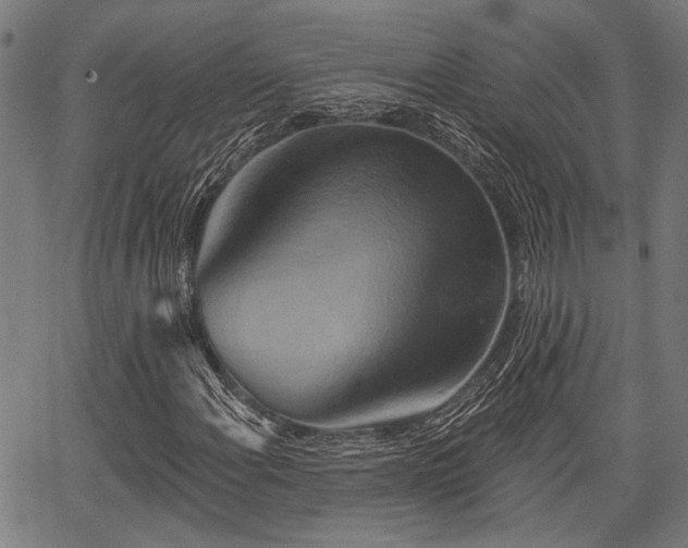 X0000067351108200604030927