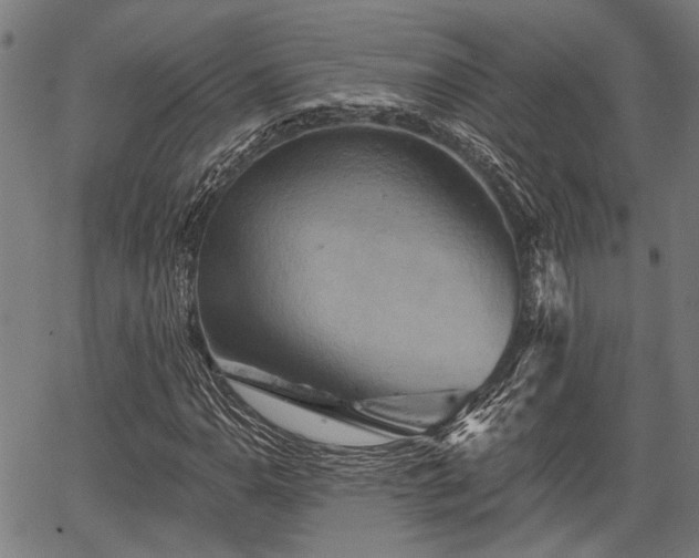 X0000067351110200604030927