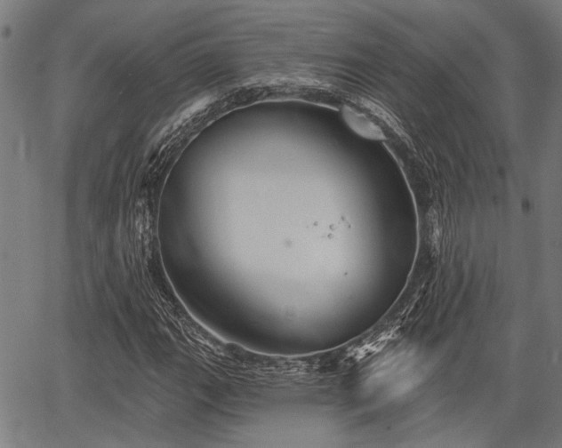 X0000067351111200604030927